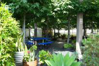 10. Courtyard