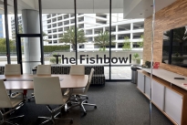 56. The Fishbowl