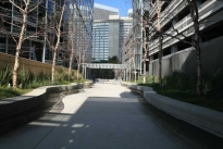 41. Courtyard/Plaza